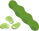 ソラマメ