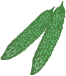 ゴーヤ