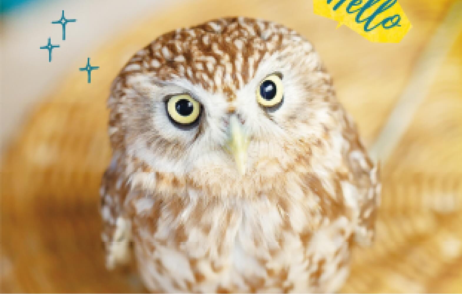 特集 動物に会いに行こう 阪急阪神沿線wellnessプラス