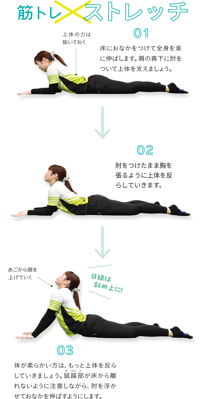 筋トレxストレッチ