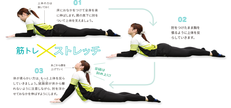 筋トレxストレッチ