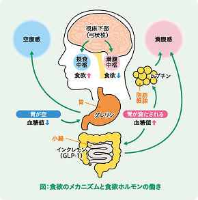 図