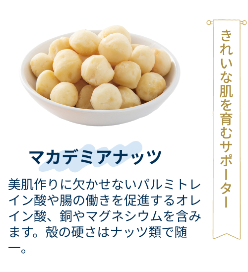 マカデミアナッツ：美肌作りに欠かせないパルミトレイン酸や腸の働きを促進するオレイン酸、銅やマグネシウムを含みます。殻の硬さはナッツ類で随一。