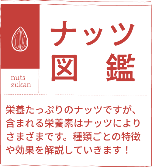 ナッツ図鑑：栄養たっぷりのナッツですが、含まれる栄養素はナッツによりさまざまです。種類ごとの特徴や効果を解説していきます！