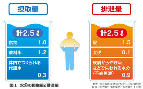 この冬を健康に乗り切るために気を付けるべきこと コラム 阪急阪神沿線wellnessプラス
